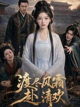 渡尽风霜赴清欢海报