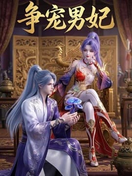 争宠男妃海报